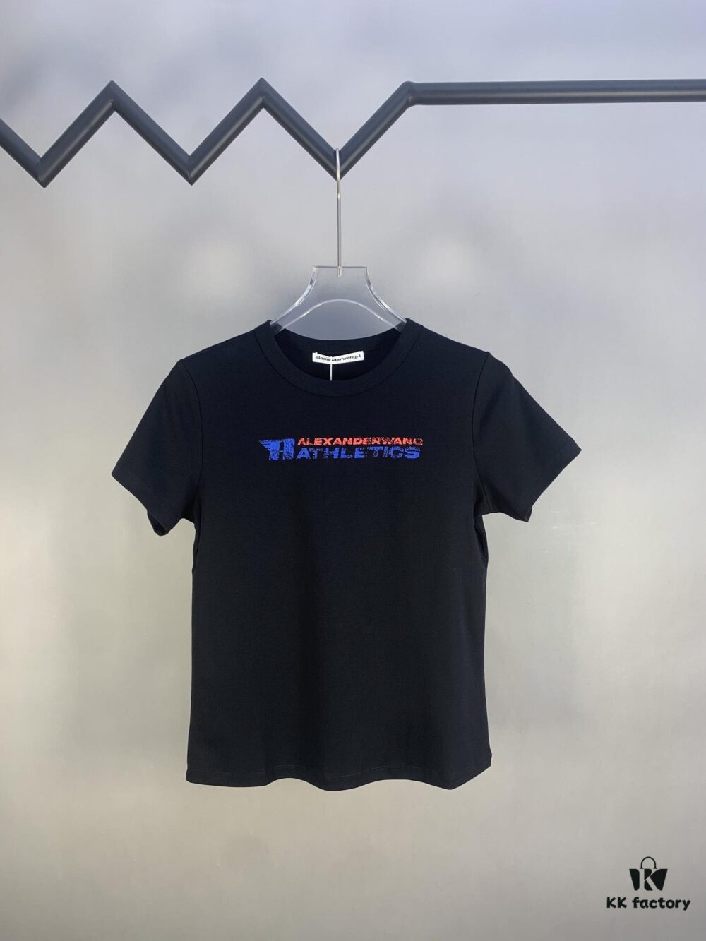 Alexander 2025 Distressed Logo Women's T-Shirt