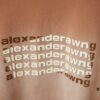 Alexarde*wang 25SS Early Spring New Arrival 3D Wa Jiao Gradient Print Short Sleeve T-Shirt