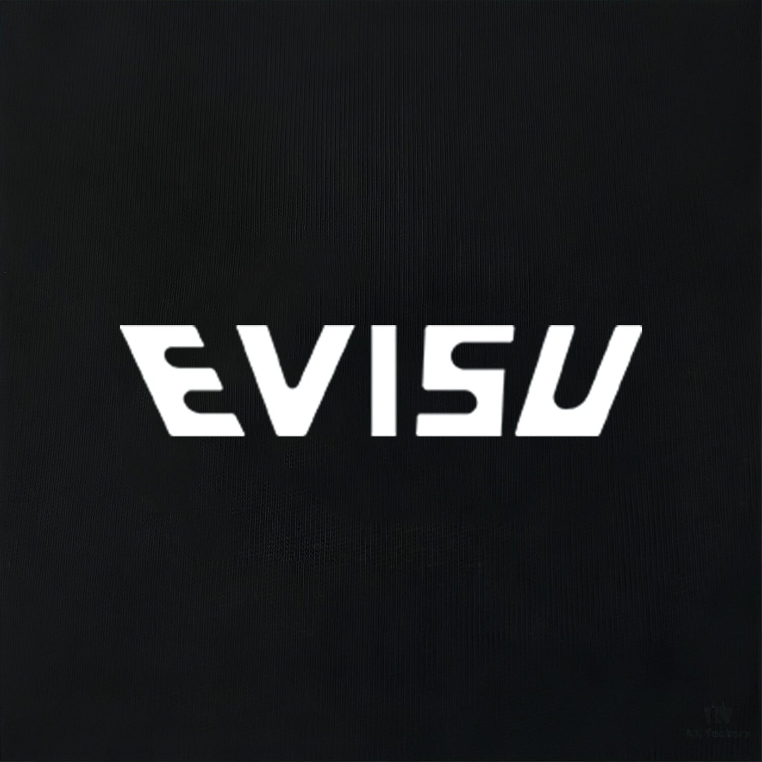 Evisu 2025 New Year God Printed T-Shirt High-Quality Version   Premium Quality   Made from 300g Double-Yarn Cotton Fabric Unisex