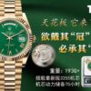 THB New Release Rolex DD