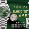 THB New Release Rolex DD