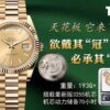 THB New Rolex DD Ceiling Model