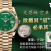 THB New Rolex DD Ceiling Model