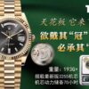 THB New Rolex DD Ceiling Model