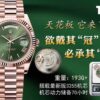 THB New Rolex DD Ceiling Model