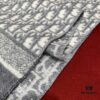 Dior Gray Winter Super Hard-to-Find Classic Cashmere Scarf