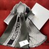 Gray Dior's Latest Autumn/Winter Preppy Double-Sided Scarf – Extremely Versatile, Two Looks in One