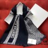 Navy Blue Dior Latest Fall/Winter Collection Preppy Double-Sided Scarf – Extremely Versatile, Two Sides for Two Styles