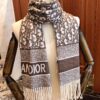 Hot Arrival ‼️ Highly Recommended 【DIOR】 Must-Have! Latest Designer Double-Sided Cashmere Scarf – Extremely Versatile and Elegant!