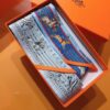 Hermès 'Ponca Chief' Silk Ribbon