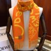 Loewe 2022 Graffiti Double-Sided Scarf Unisex