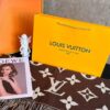 LV Official Website Same Style Double-Sided Cashmere Scarf in Gray