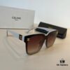 CELINE Women's Sunglasses, Highly Textured, HD Lenses, Stylish and Versatile