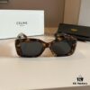 Celine New Women's Sunglasses, Large Temple Design, Luxury Aristocratic Style Sunglasses