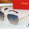 Cartier ESW00684 Sunglasses