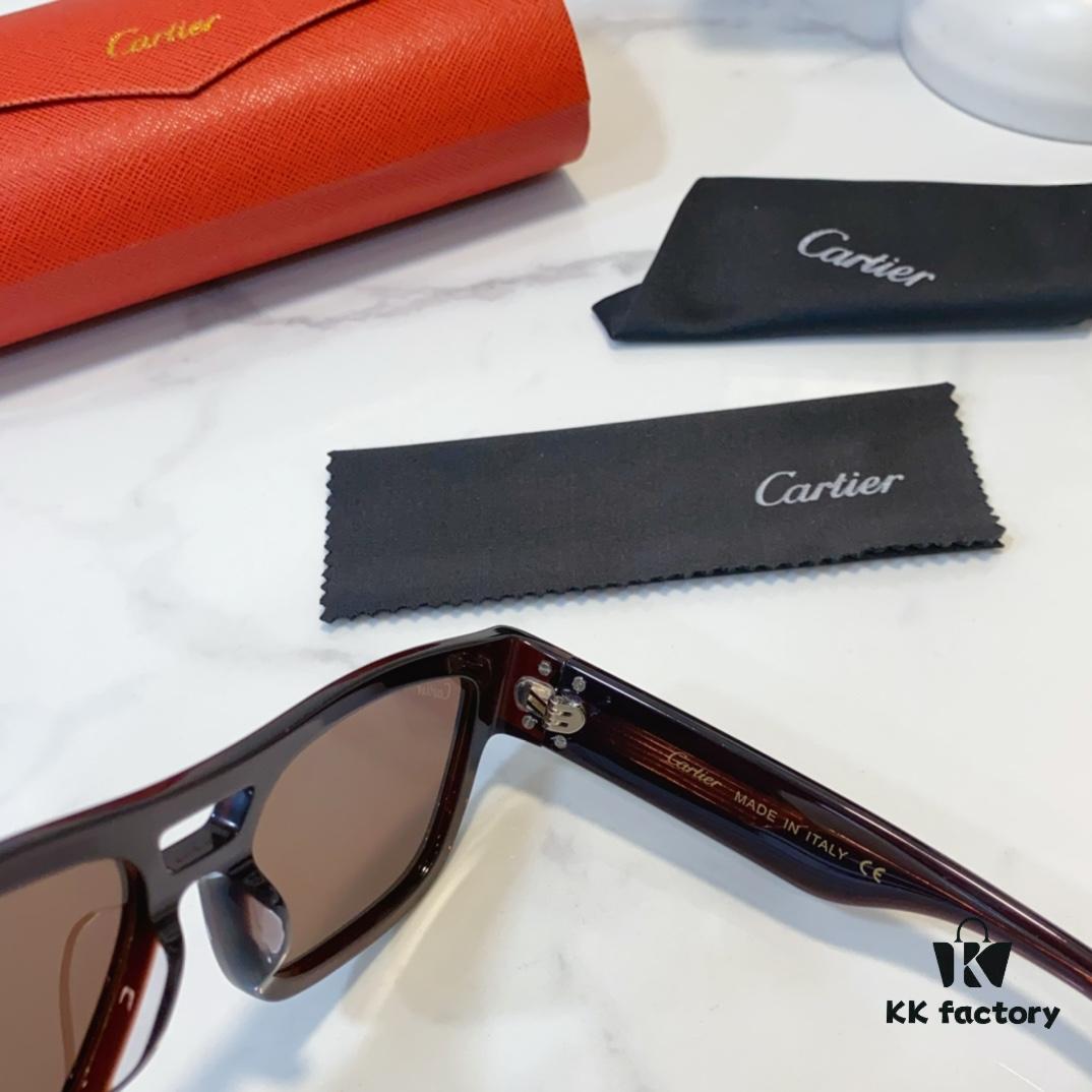 Cartier CT0490S Sunglasses