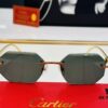 Cartier CT0524S Size: 56□17-130 Fashion Casual Sunglasses