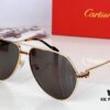 Cartier CT0334 Sunglasses