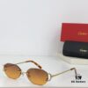 CARTIER CT0029 Sunglasses
