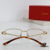 Cartier CT0319 Sunglasses