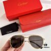 Original Spring Hinge Santos de Cartier Sunglasses, Golden Electroplated Brushed Platinum Bicolor Metal, Aviator Style, High-Definition Authentic Lenses, the Pinnacle of Eyewear
