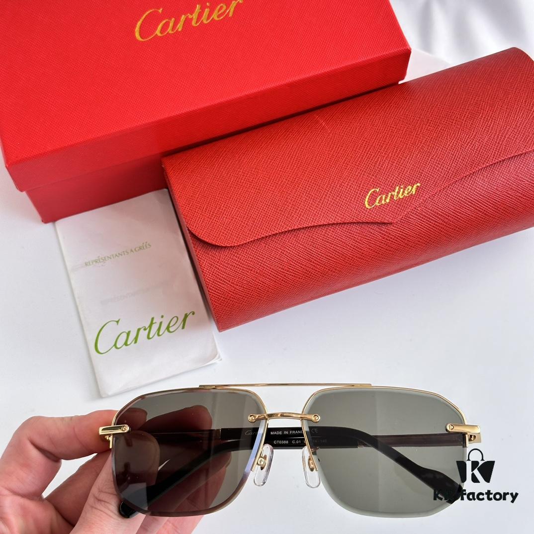Cartier CT0388 Sunglasses
