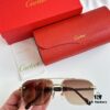 Cartier CT0388 Sunglasses