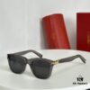 120 Cartier New Release Première Collection Latest Masterpiece CT 0396S
