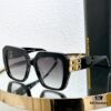 BALENCIAGA BB0252 Sunglasses