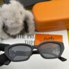 Polarized Series Sunglasses HERMES Hermes Original Release H3511