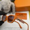 Polarized Series Sunglasses HERMES Hermes Original Release H3511