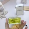 Free Shipping Chanel No.19 Classic Elegant Eau de Toilette 100ml