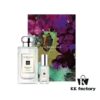 Jo Malone Perfume Full-Size and Sample Set! 100ml + 9ml. Scents: English Pear, Bluebell, Sea Salt, Blackberry