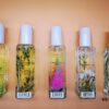 Jo Malone London 2019 Limited Edition Hackney Florals Collection - 30ml Eau de Toilette Set of 5: Willow & Amber, Lupin & Patchouli, Cade & Cedar, Hemlock & Bergamot, Nettle & Wild Yarrow