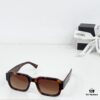 110 CHANE MODEL: CH9018 SIZE: 53-23-145 Sunglasses