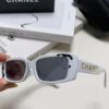 Chanel 2025 Summer New Arrival Popular on Xiaohongshu Double C Logo Sunglasses