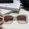CHANEL New Classic Black and White Sunglasses with Logo-Embellished Temples