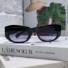 Chanel 2025 New Arrival ⭐ Xiaohongshu Popular Bestseller Double CH Interlocking Logo Sunglasses for Women, High-End Style Eyewear