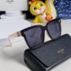 Celine 2025 New Arrival Square Sunglasses for Women, Stylish Oversized Frame, Slimming Effect for Round Faces, Polarized UV Protection Beach Sun Glasses Unisex