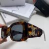 CELINE 2025 New Runway Official Same Style as Yang Mi, Versatile Oversized Square Archetype Sunglasses