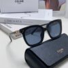 Celine 2024 New Fashion Retro Arc de Triomphe Sunglasses, Classic Unisex Sun Glasses for Outdoor Driving and UV Protection