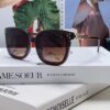 Celine 2024 New Fashion Retro Arc de Triomphe Sunglasses, Classic Unisex Sun Glasses for Outdoor and Driving