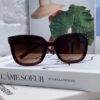 Celine 2024 New Fashion Retro Arc de Triomphe Sunglasses, Classic Unisex Sun Glasses for Outdoor and Driving