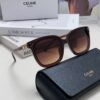 Celine 2024 New Fashion Retro Arc de Triomphe Sunglasses, Classic Unisex Sun Glasses for Outdoor and Driving