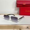 165 Cartier CT0528S Sunglasses, Size 60-16 140