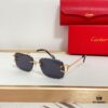 Cartier CT0595S Sunglasses - Photochromic Transition Lenses