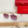 Cartier CT0595S Sunglasses - Photochromic Transition Lenses