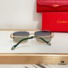 Cartier CT0595S Sunglasses - Photochromic Transition Lenses