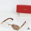 Cartier CT0533S 58□20-145 Photochromic Lens Sunglasses