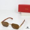 Cartier CT0533S 58□20-145 Photochromic Lens Sunglasses